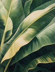 Close-up of lush, tropical banana leaves, showcasing their vibrant green hues and intricate textures. A study in natural beauty.