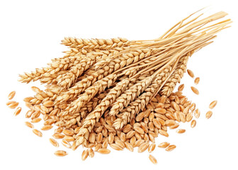 PNG Wheat grains wheat produce food.