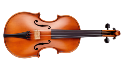 PNG Violin violin white background performance.
