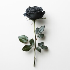 Black Rose Silhouette Minimalist Design High Contrast Floral Artwork