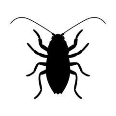black silhouette of cockroach insect isolated on white background