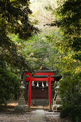 森の中の神社