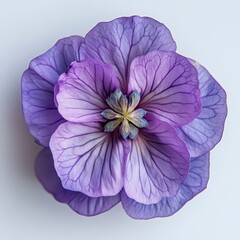 Naklejka premium Beautiful Violet Flower with Delicate Petals and Intricate Veins