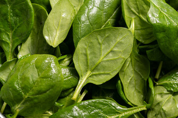 Fresh spinach green leaves close up. Healthy food. Salad leaves