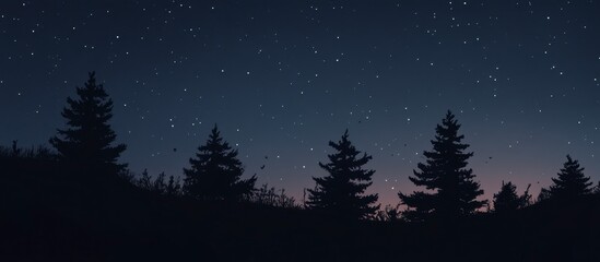 Fototapeta premium Night Sky Starry landscape camp ground landscape forest