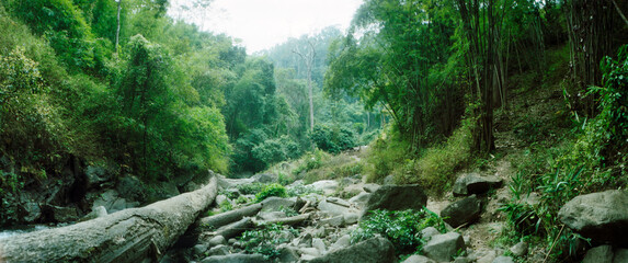 Panoramic forest, Chiang Mai, Thailand.