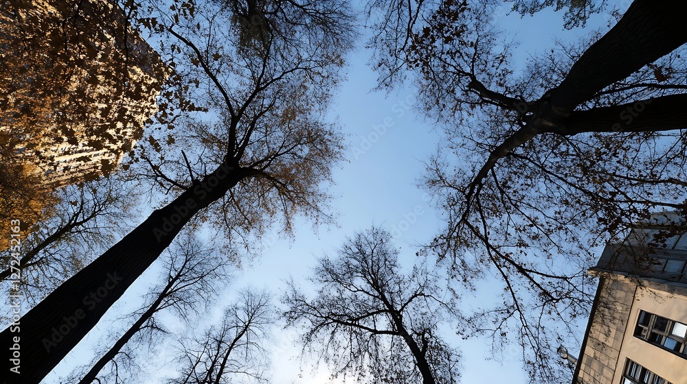 Poster Spring trees with bare branches reaching towards a clear blue sky : Generative AI