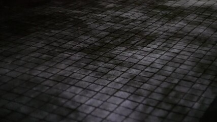 Tokyo, Japan - February 18, 2025:  Shadow of leaves on stone pavement on windy night