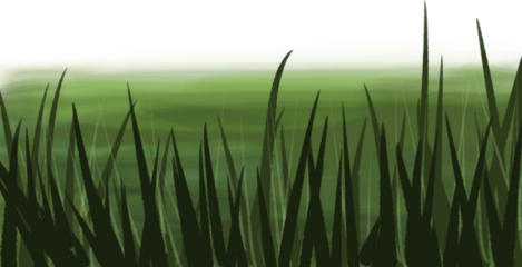 green grass in the wind