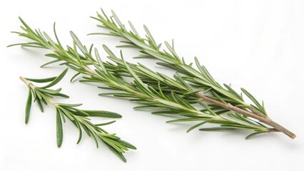 Fototapeta premium Rosemary sprigs isolated on white background
