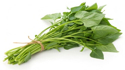 Water spinach (morning glory) isolated on white background