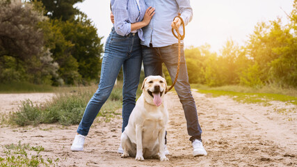 Happy Loving Family. Beautiful spouses cuddling and walking their puppy on a leash, girl kissing her man at sunset