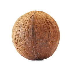 One whole coconut in shell isolated on white