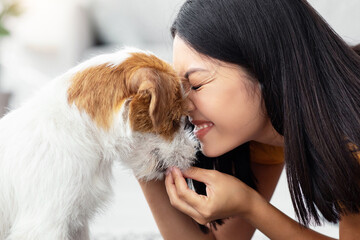 Happy young asian woman petting her cute dog at home, loving korean lady playing with fluffy jack...