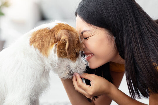 Happy young asian woman petting her cute dog at home, loving korean lady playing with fluffy jack russel terrier on floor in living room, closeup portrait. People and dogs, pets adoption concept
