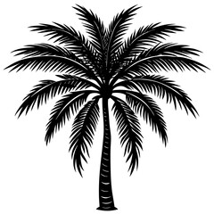 palm tree silhouette