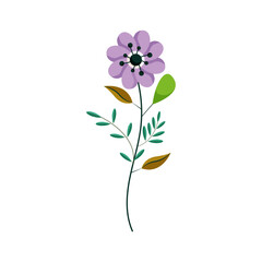 WeFloral and botanical elements. Leaf, foliage flowers, plants, bloom, leaves. Hand drawn of blossom spring season vector for decor, website, graphic and shop.