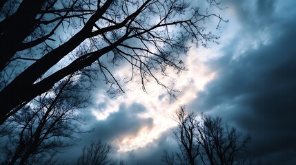 Fototapeta premium Dramatic Sky with Dark Clouds and Tree Silhouettes at Dusk or Dawn : Generative AI