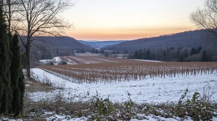 Snowy Vineyard Valley Sunset Landscape