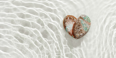 Two natural seashells forming heart, sea water gentle ripples cast soft, wavy shadows on clean, light-color background, summer, serene, minimalist aesthetic concept. Feelings of love, tranquil