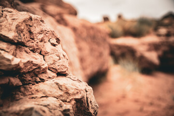 red rocks in the desert