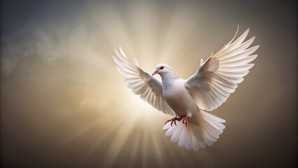 Obraz premium Minimalist White Dove Pierced Wing, Hope, Peace, Freedom, Spiritual Symbol, Stock Photo