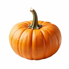 Obraz premium Bright Orange Pumpkin Still Life Fresh Autumn Vegetable Crop Garden Produce Decoration and Seasonality