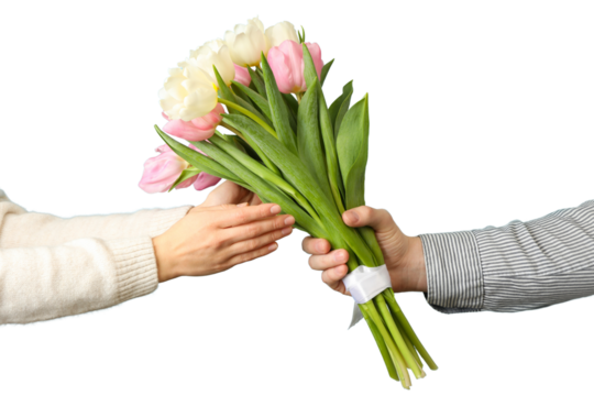 PNG, March 8. Bouquet of flowers in hands, isolated on white background.