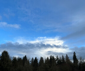 dblue sky with clouds and trees