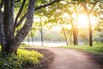 A peaceful stroll along a vibrant forest path, surrounded by towering trees, inviting relaxation, mindfulness, and the therapeutic essence of nature.  .