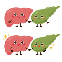 手を繋いだ肝臓と胆嚢のキャラクター