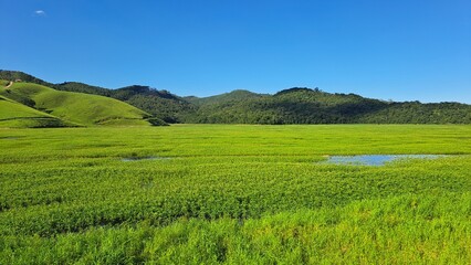Um paisagem em um dia ensolarado em uma &aacute;rea rural ao lado da represa do rio paraitinga, em sales&oacute;polis, estado de S&atilde;o Paulo, Brasil.