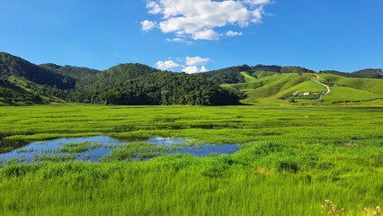 Um paisagem em um dia ensolarado na represa do rio paraitinga, em sales&oacute;polis, estado de S&atilde;o Paulo, Brasil.