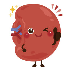 グッドサインを出す脾臓のキャラクターイラスト