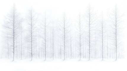 Naklejka premium Bare trees stand in a neat row amidst a dense winter fog and snow-covered landscape.