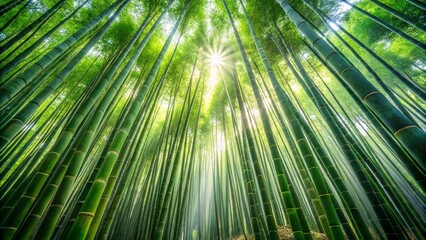 Fototapeta premium Serene Green Bamboo Forest Background: Long Exposure Photography of Swaying Bamboo