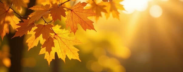 Fototapeta premium Bright gold oak leaves frame a flitting tit, sunny autumn day , oak, nature photography, bird photography