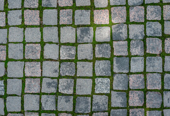 Stone Pavement With Grass Moss Growing Between The Square Tiles