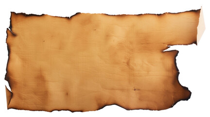 Fototapeta premium PNG Vintage burnt parchment paper