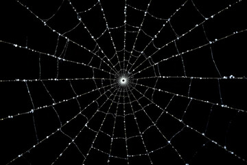 Obraz premium Creepy white spider web on black background