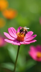 Bee lands on colorful flower with pollen basket full, pollination, spring, blooming