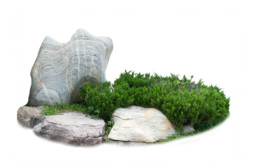 Cutout rock surrounded by flowers. Garden design isolated on transparent background. Flowering shrub and green plants for landscaping. Decorative shrub and flower bed