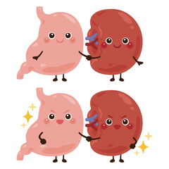 手を繋いだ脾臓と胃のキャラクター