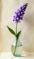 solitary lavender bloom in vase on parchment background, single flower, purple