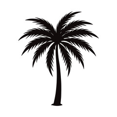 Obraz premium palm tree silhouette vector illustration