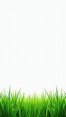 Obraz premium Vibrant Green Grass Border on White Background