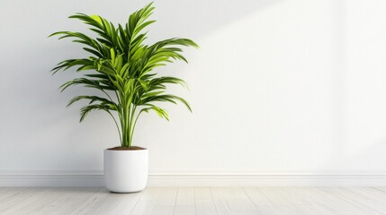 Fototapeta premium Modern white room with a single tall dracaena plant in a white pot, the smooth floor reflecting soft natural light, clean minimal aesthetic, 4K ultra-realistic photo