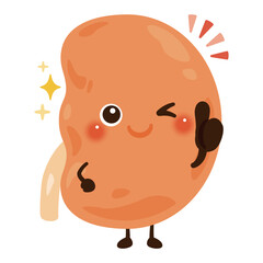 グッドサインを出す腎臓のキャラクターイラスト