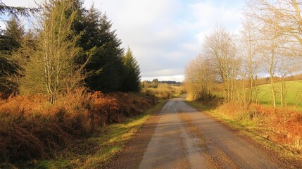A tranquil rural road lined with trees and shrubs under a blue sky, inviting exploration into the serene countryside.