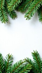 Freshly cut green spruce for Christmas decoration, evergreen, spruce, garland